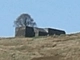 Top Withins