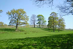 The Gimmerton Valley