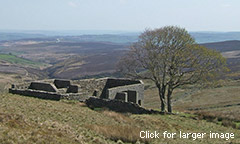 Top Withens past